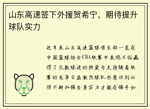 山东高速签下外援贺希宁，期待提升球队实力
