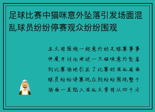 足球比赛中猫咪意外坠落引发场面混乱球员纷纷停赛观众纷纷围观