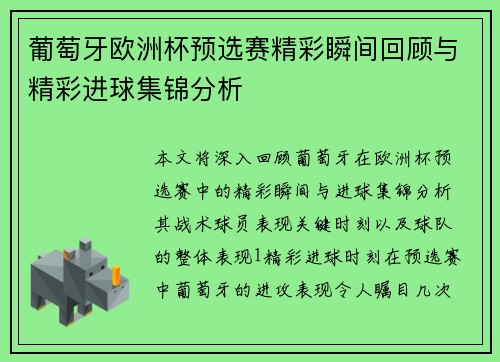葡萄牙欧洲杯预选赛精彩瞬间回顾与精彩进球集锦分析