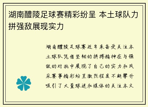 湖南醴陵足球赛精彩纷呈 本土球队力拼强敌展现实力