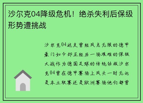 沙尔克04降级危机！绝杀失利后保级形势遭挑战
