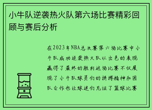 小牛队逆袭热火队第六场比赛精彩回顾与赛后分析